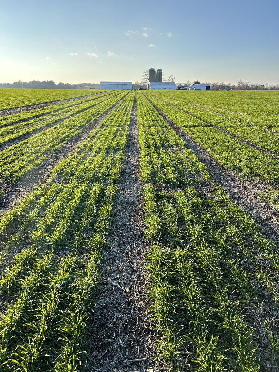 Jessica Rutkoski tweet media