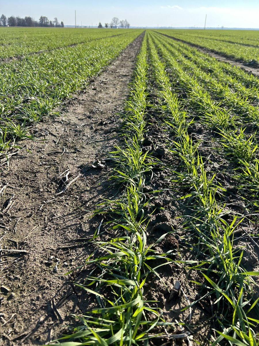 Jessica Rutkoski tweet media