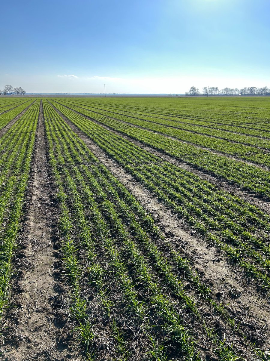 Jessica Rutkoski tweet media