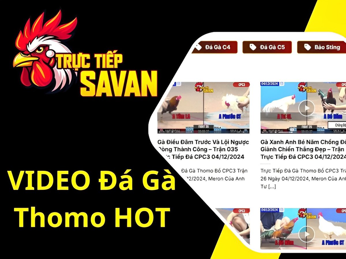 tructiepsavan1's tweet photo. Xem Lại Video HOT Thomo - Phát Lại Các Trận Đá Gà Hay Trong Ngày
Xem lại những trận đá gà hay tại đây: https://t.co/tgObenhreJ

#truonggasvan #dagatructiep #dagac1 #dagac2 #dagac3 #dagac4 #dagac5 #tructiepsavan https://t.co/1H7Ovttr46