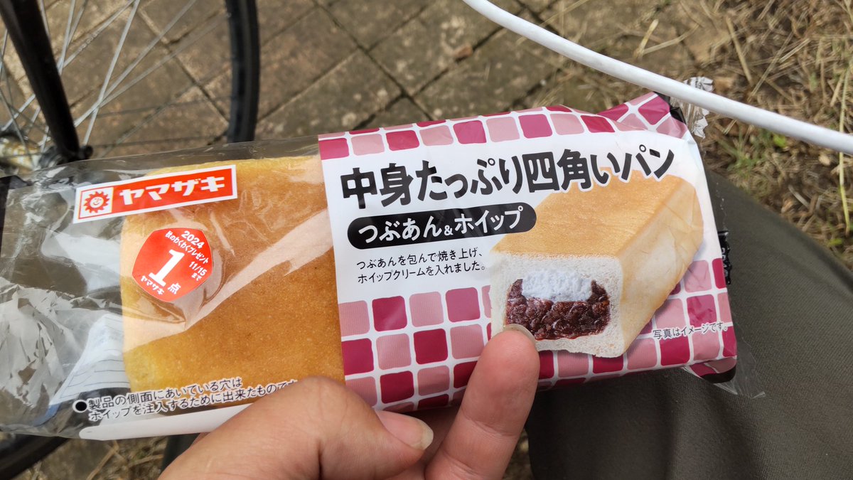 近くの公園での柴犬名前忘れちったくるみだっけかな？
とりあえず可愛いかった( * ֦ơωơ֦)