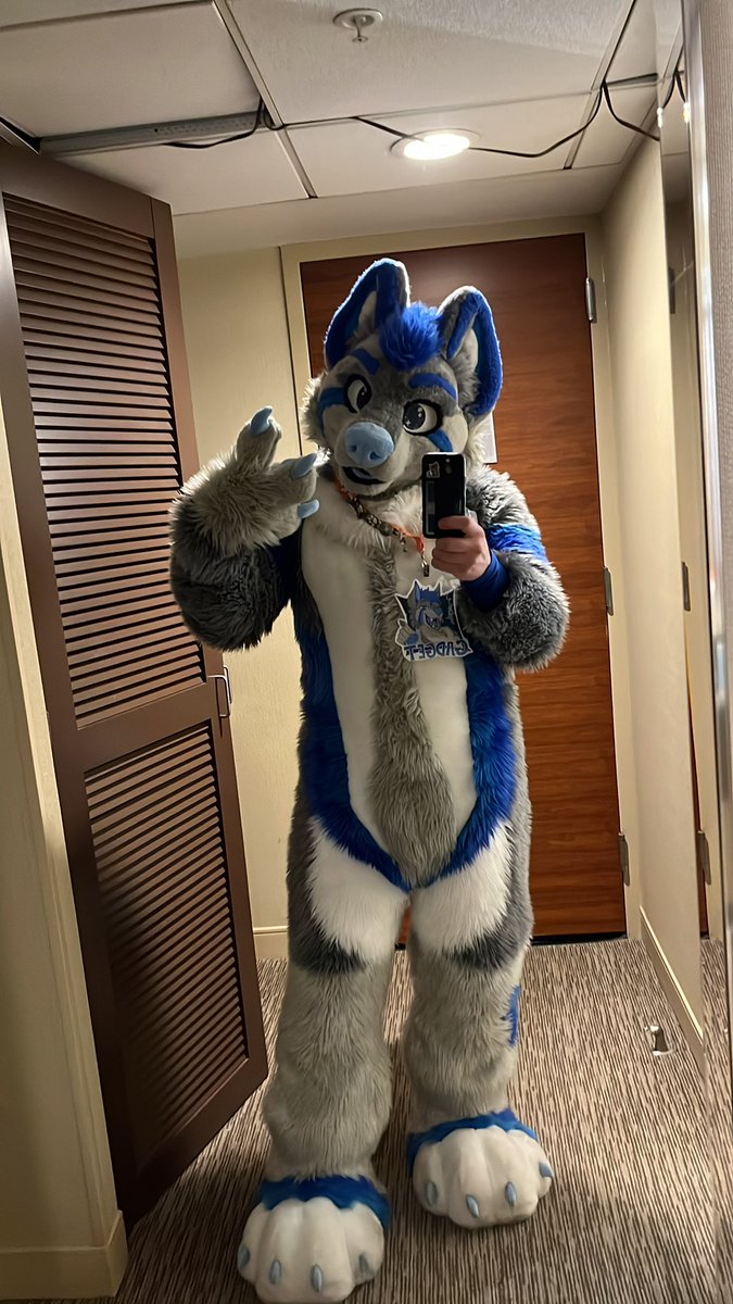 Gadget Wusky tweet media