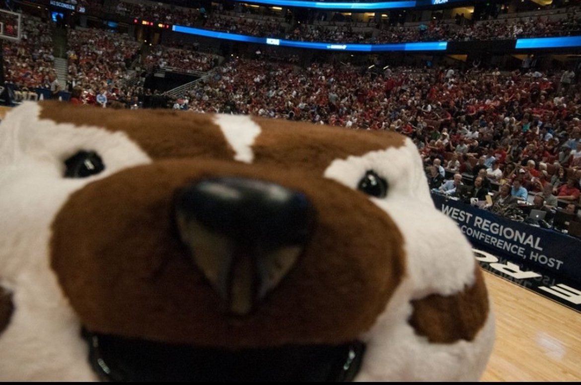 Badger_szn's tweet photo. Badger Hockey Wins 
Badger Volleyball Wins 

Badger Basketball, Your turn 😋 https://t.co/UKKiB0flRO