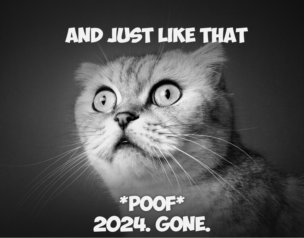 GiTriborough's tweet photo. Well... where did 2024 go? Share one of your favorite memories from this year in the comments. #newyear #december #2024 #newbeginnings #TriboroughGI #Brooklyn #NY https://t.co/uRI05hXzYm