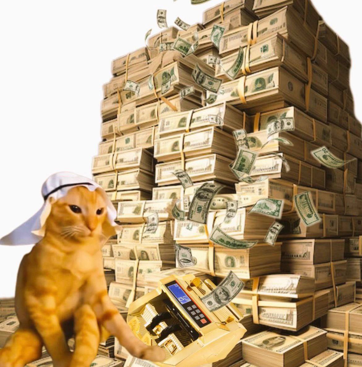 ArabCatXRP's tweet photo. XRP’s habibi mascot just dropped where u at? Max bid 🔜

https://t.co/MpaDQYRPWe https://t.co/XodSXSrkGv