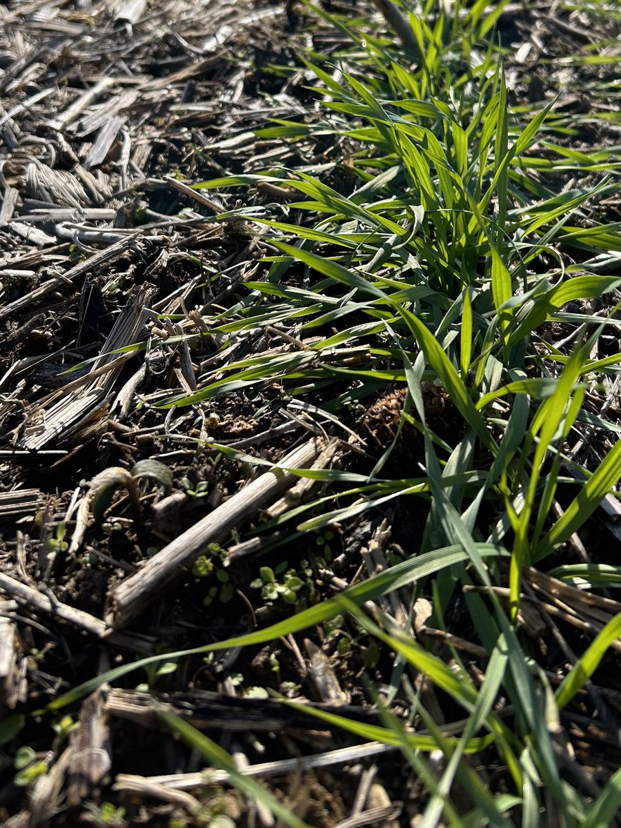 Jessica Rutkoski tweet media