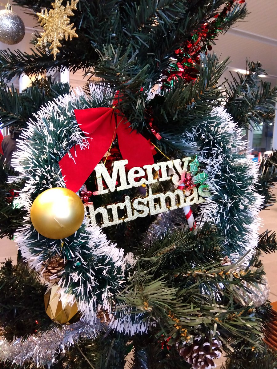 acp_growing's tweet photo. 後半始まります！
後半は中央の方で演奏します✨
ぜひお越しください🎅🏻🎄.* https://t.co/A45TgB0XS3