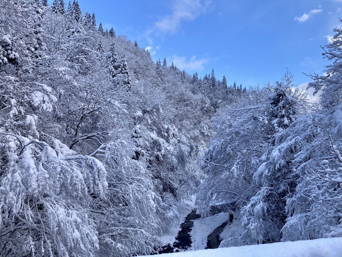 今週もクルザス地方から帰宅するよ！

なお、自宅まで約3時間…_(:3 」∠)_

#FF14風景風