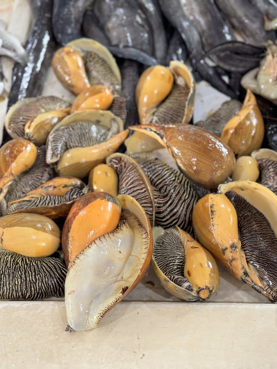 Exotic finds - dare to try?