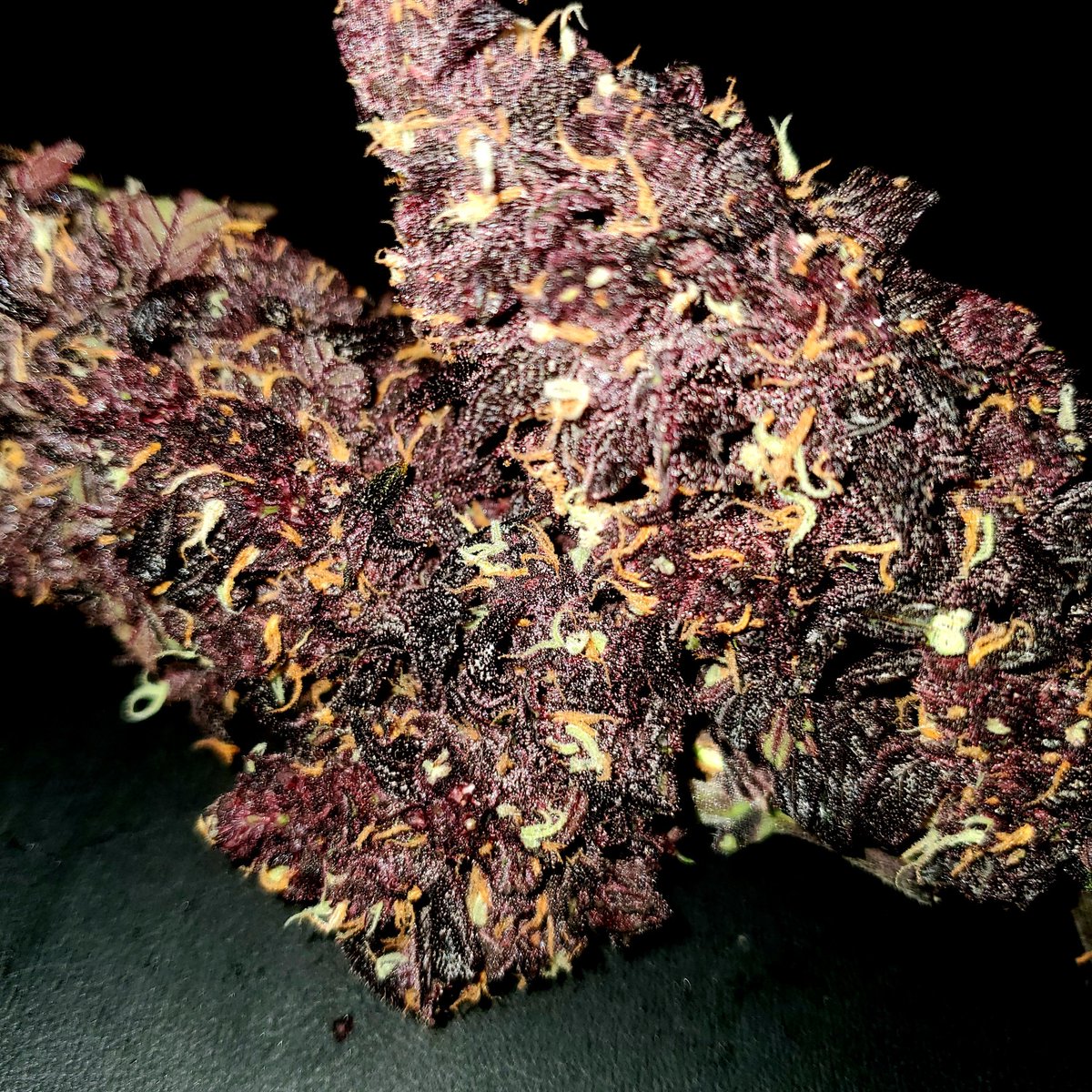 X algorithm don't mess around. 
I post this one picture and I go from bs politics X to Sweet Cannabis X just like that.