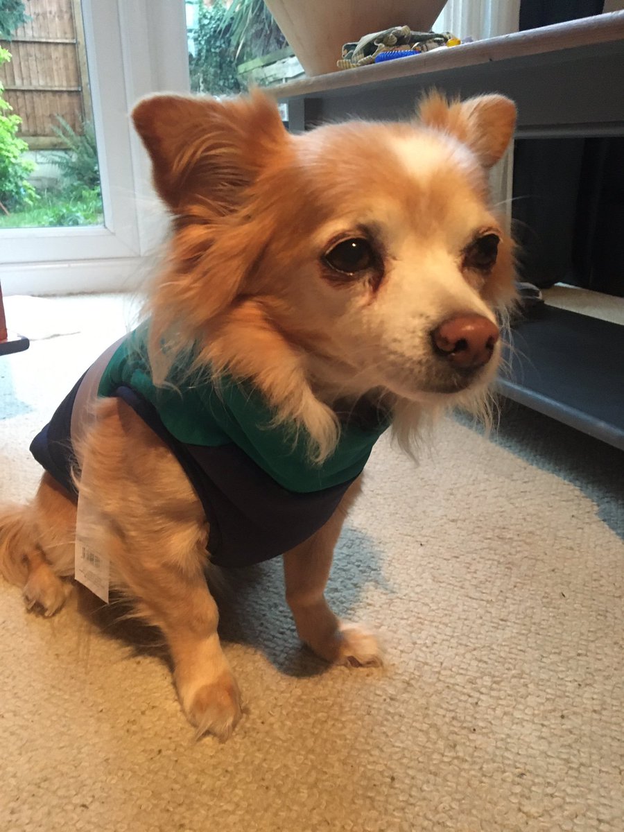 Oh Erik. You’re somewhere else in your head.