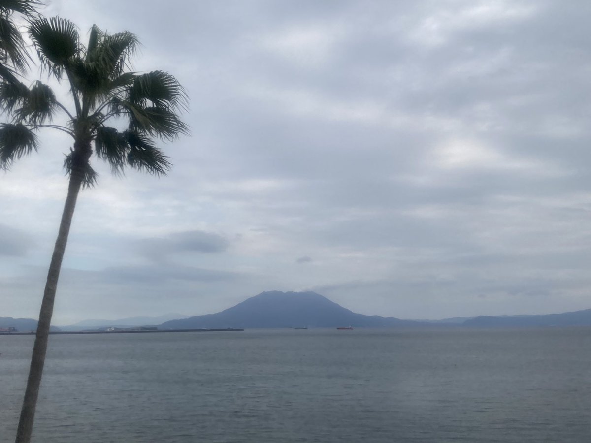 rhinoduck's tweet photo. 特急 指宿のたまて箱に乗りました。
桜島がよく見えました。
揺れがすごい中、乗務員の方が頑張ってらっしゃいました。 https://t.co/bk17jgNX18