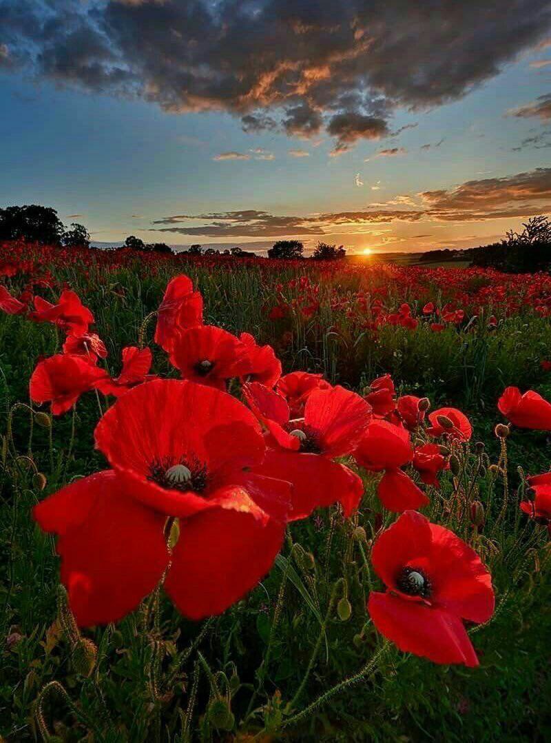 #بوح_آخر_الليل  
.
يشوفني بعينه تباشير وبروق
واشوفه بعيني رهام السحابه

اما تجيني مطلع يبهر بروق
ولا امرت الحرف يعلن غياب ..
.