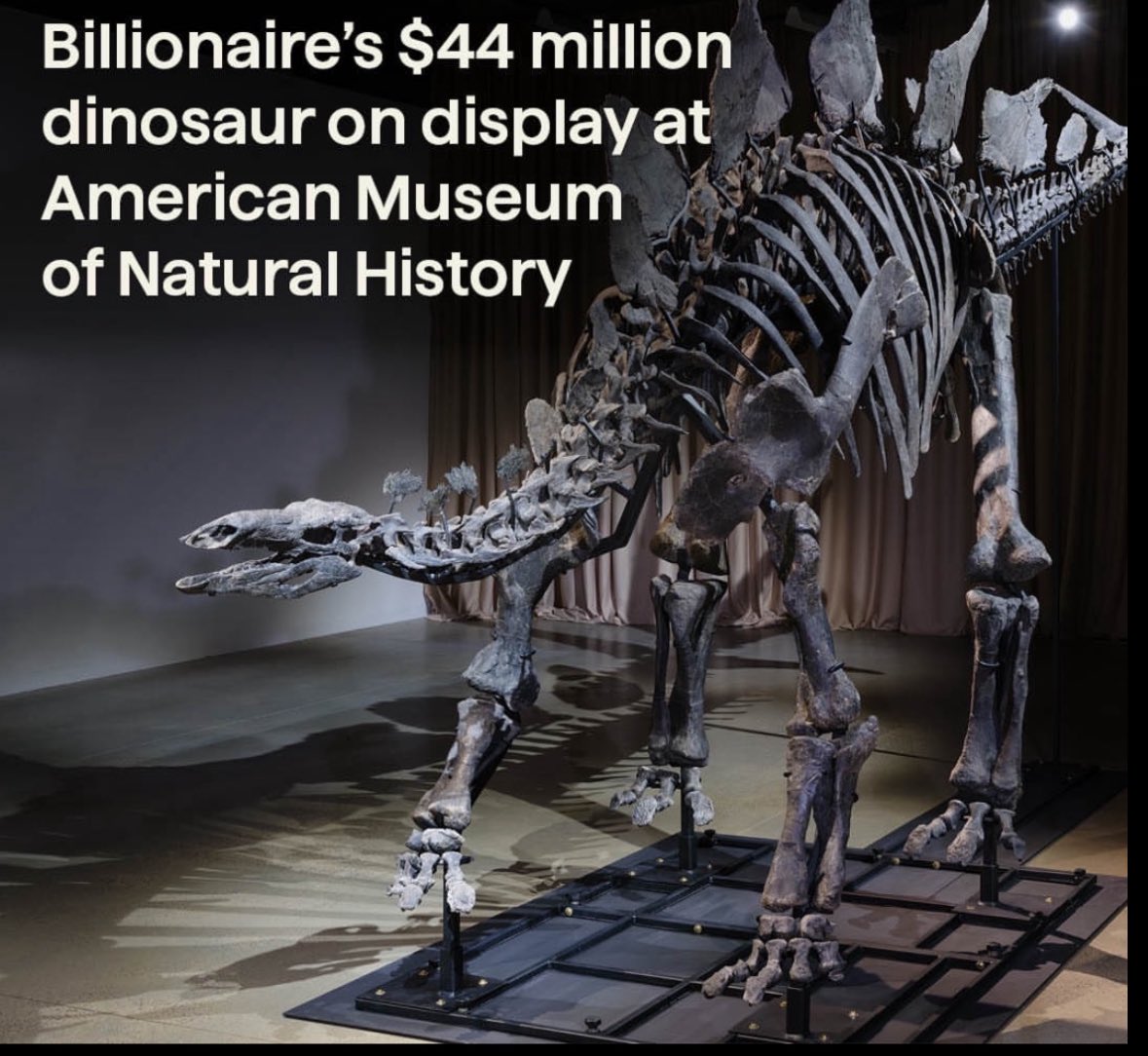 Would look better in my foyer.