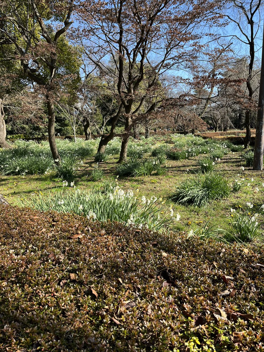 beatitude3's tweet photo. なかなか寒くならないけど、クッソ寒い冬の日の新宿御苑が大好きな酒井です。
来週12/13(金)、下北沢で朗読劇に出演します。まだ間に合います!15:00と19:00。
本好きにはたまらないRBL Cafeにて。
https://t.co/6bgKMO64RS
#新宿御苑
#BLETS
#恋愛シネマ
#RBLCAFE https://t.co/sJl5JNjTO7