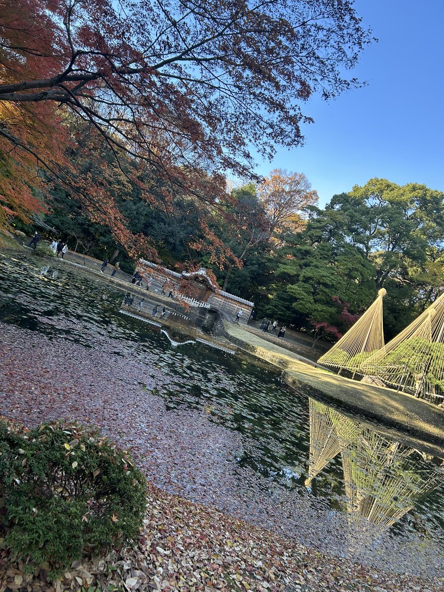 Doty5505's tweet photo. 後楽園〜 https://t.co/DTRFOr4fuw