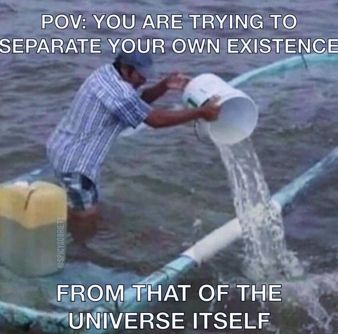 ͏🪽 (@satokomiyahara) on Twitter photo 