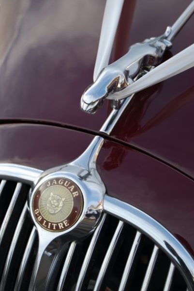 17 years ago today a gorgeous Mk2 <a href="/Jaguar/">Jaguar</a> was our wedding car. Such a huge shame they’ve discarded their wonderful identify and heritage for the abomination that is their current identify and as for that concept car. Christ knows what they are thinking.