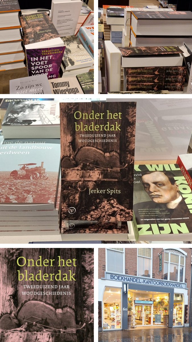 Wat fijn om Onder het bladerdak in zoveel mooie boekhandels te zien, van Den Haag (Boekhandel Douwes, Herengracht) tot Heerenveen (Boekhandel Binnert Overdiep). <a href="/oorschot/">petra van oorschot</a>