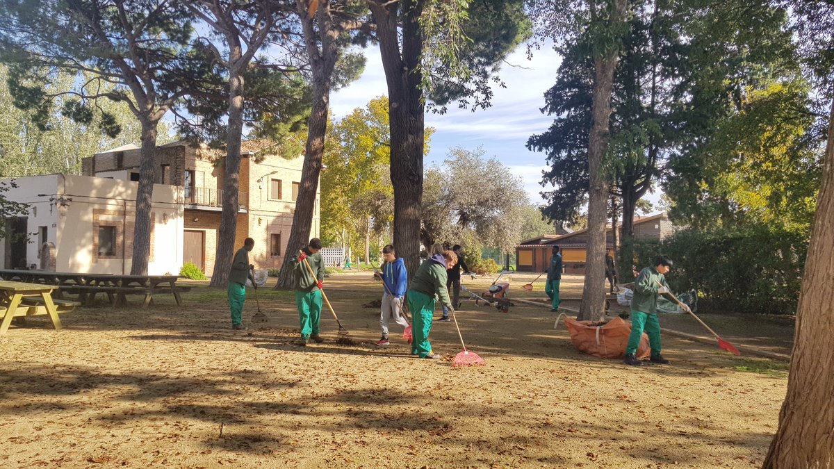 Ajuntament de Lleida tweet media