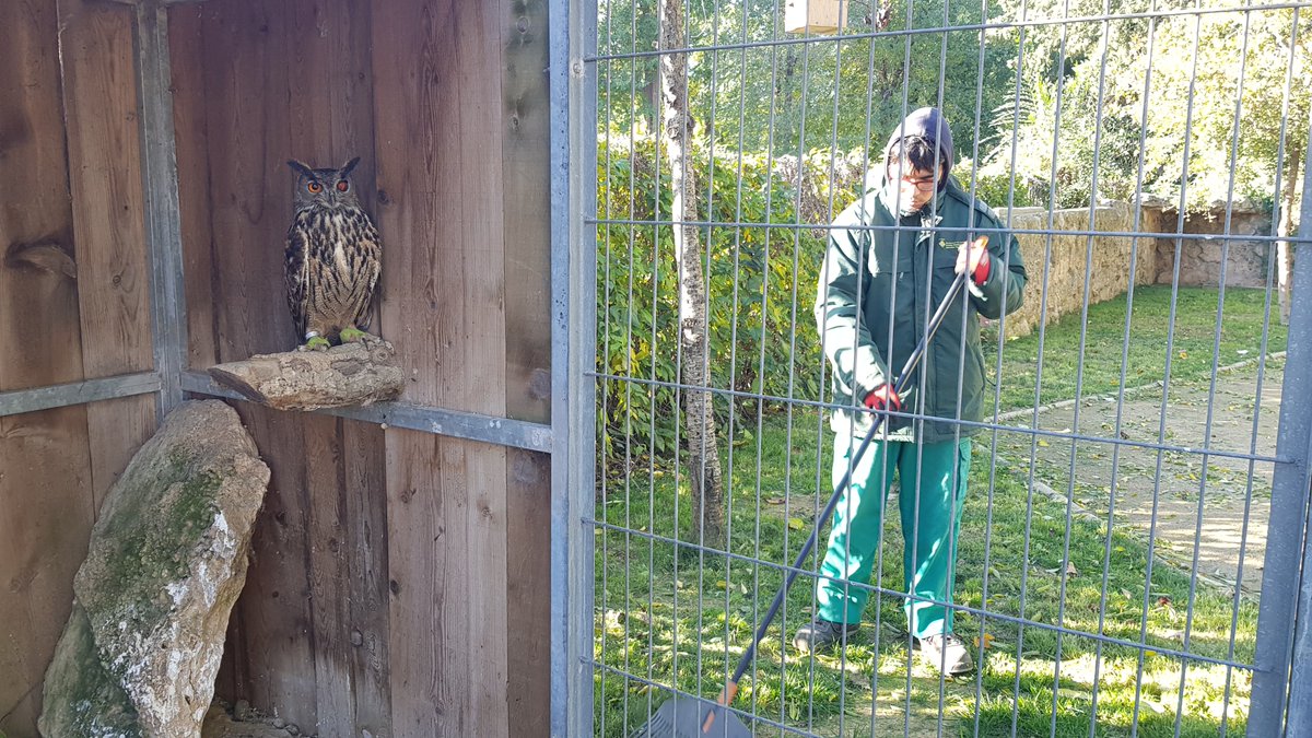 Ajuntament de Lleida tweet media