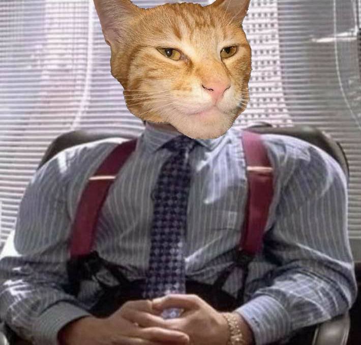 ctogigacat's tweet photo. GM, warriors. 

Rise and shine, it’s time to maximize the grind. 😼🔥

 $gcat https://t.co/VFRnjNAxP7
