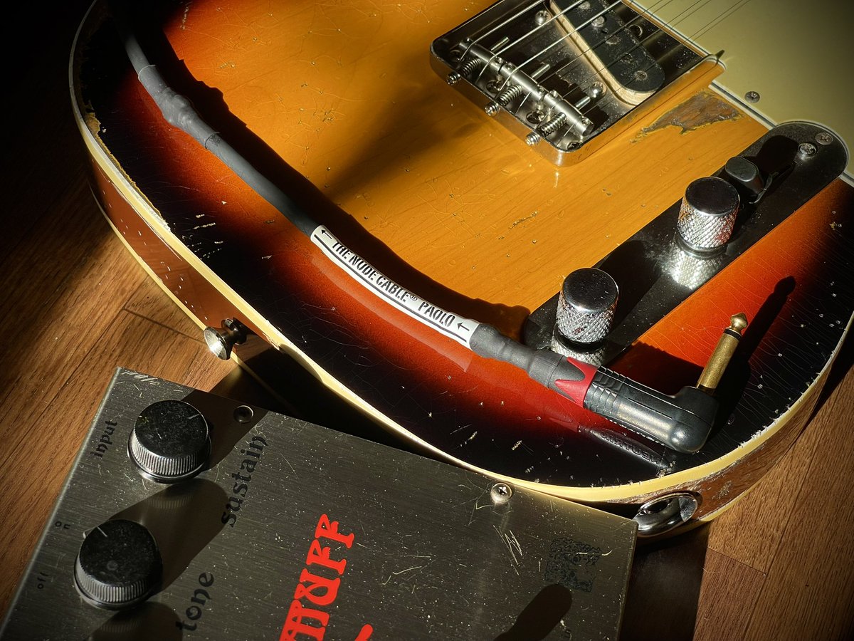Paolo0823's tweet photo. The NUDE CABLEさんのオフィシャルっぽい撮り方で。
#TheNUDECABLE
#Electroharmonix
#BIGMUFF
#RAMSHEAD
#Fender
#Telecaster
#Customtelecaster https://t.co/VjL5QVou48