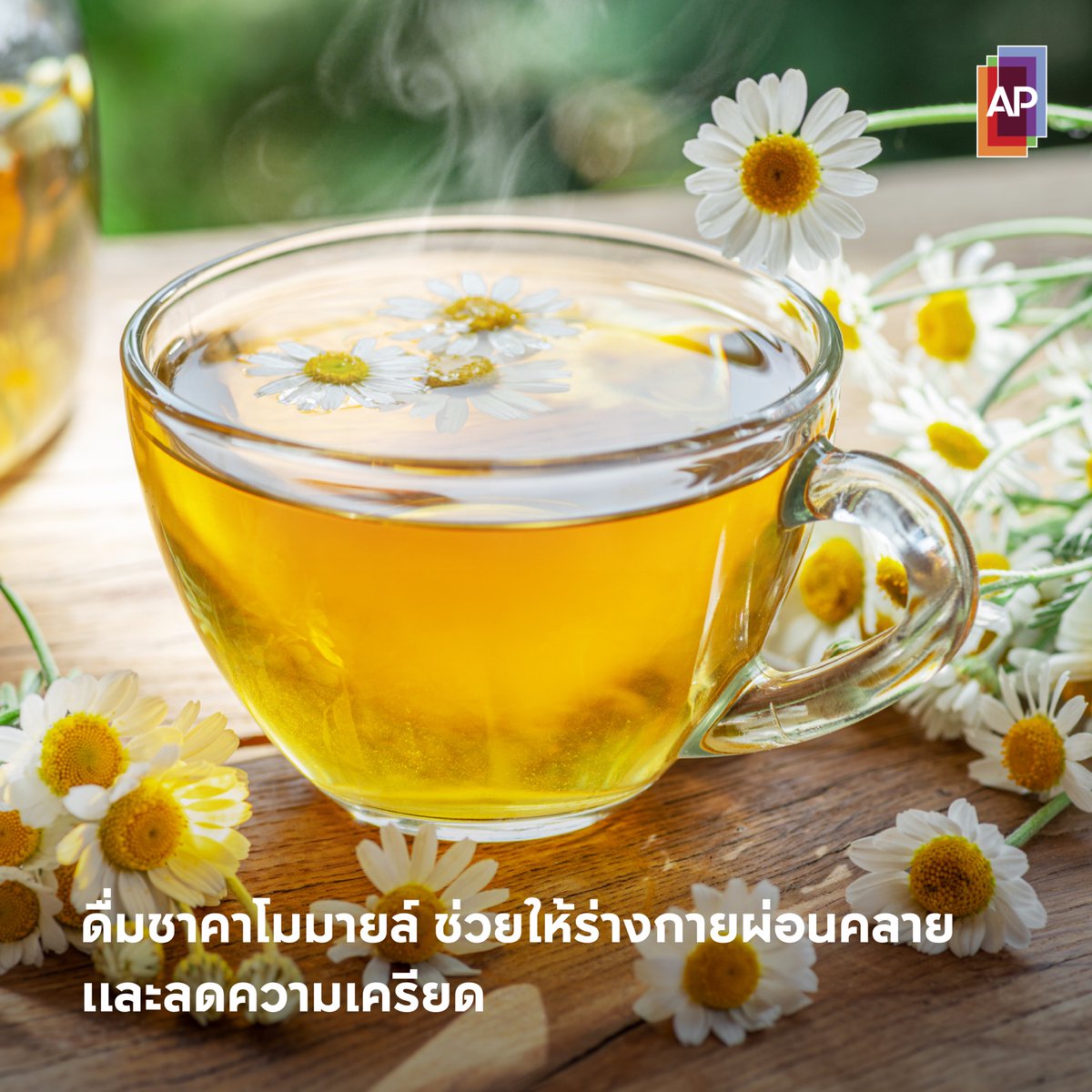 #ชาคาโมมายล์ ชาดอกไม้แสนน่ารักที่ควรมีติดบ้าน เพราะมีสรรพคุณทั้งลดการเต้นของหัวใจ ลดการเกร็งตัวของกล้ามเนื้อ ทำให้ร่างกายผ่อนคลาย ลดความเครียดความกังวล แต่ควรระวังในผู้ที่แพ้เกสรดอกไม้ โดยเฉพาะตระกูลดอกดาวเรืองและเก๊กฮวย

#APThai #ชีวิตดีๆที่เลือกเองได้ #APLivingseries https://t.co/hcllqZmM1h