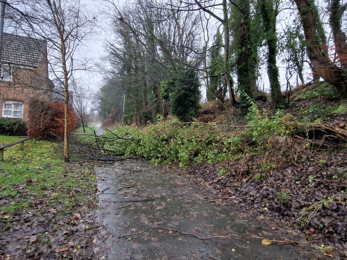sammkt's tweet photo. @EvelynSawyer Thank you, you too!!

I just hate having the trees right next to my house... especially with one down already! Bit close for my liking! https://t.co/Bk2DIOeXtS