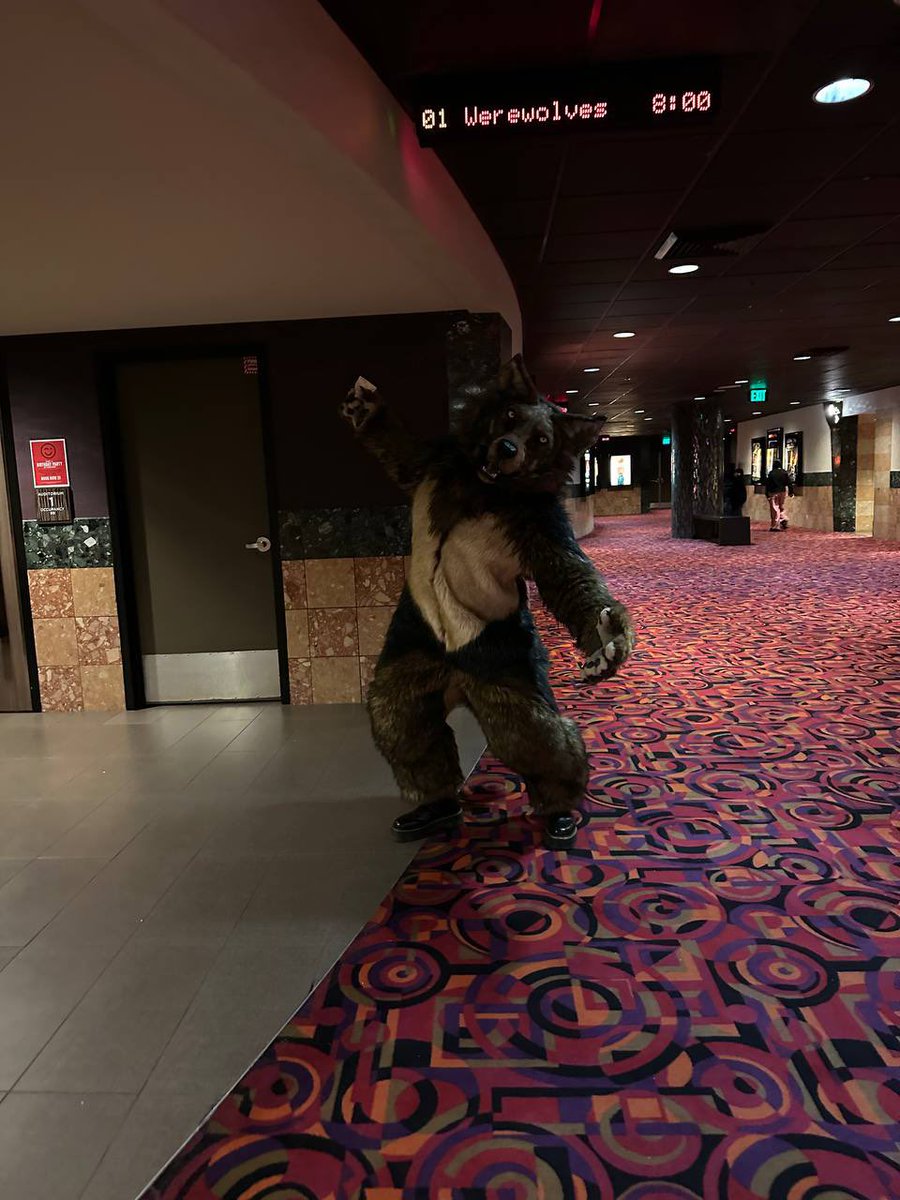 KookiTanuki's tweet photo. Just saw the movie and loved it so much!!!! Definitely would wolf out again to see it one more time! (Also thanks for the staff for being so chill, they loved seeing me in fur!)  #WerewolvesMovie https://t.co/8nDP3p1QIz