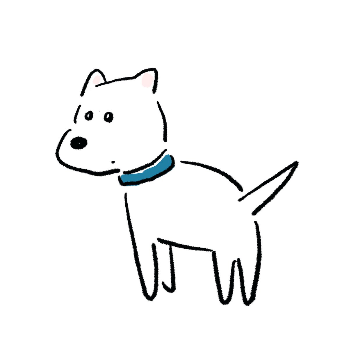 白い犬