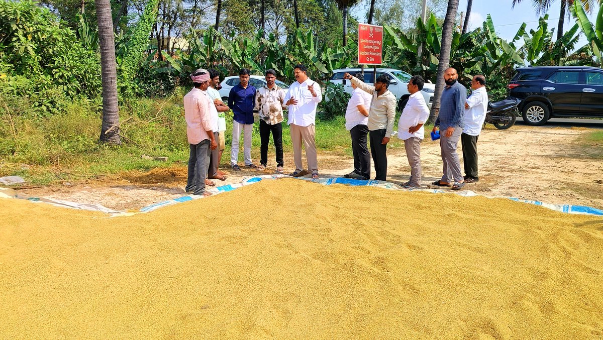 karumurionline's tweet photo. మార్గమధ్యంలో ధాన్యం ఆరబోసిన రైతులను పలకరించడం జరిగింది. ఆరుగాలం కష్టపడి పండించిన ధాన్యం దళారుల పాలవుతుందని రైతులు ఆవేదన వ్యక్తం చేస్తున్నారు. గత వైసీపీ ప్రభుత్వంలో రైతులకు ఎంతో మేలు కలిగేదని, ఎన్నో సంక్షేమ పథకాలు అందేవని వాపోతున్నారు.
#farmers #pady
#IdhiMunchePrabhutvam https://t.co/kqe21sW48d