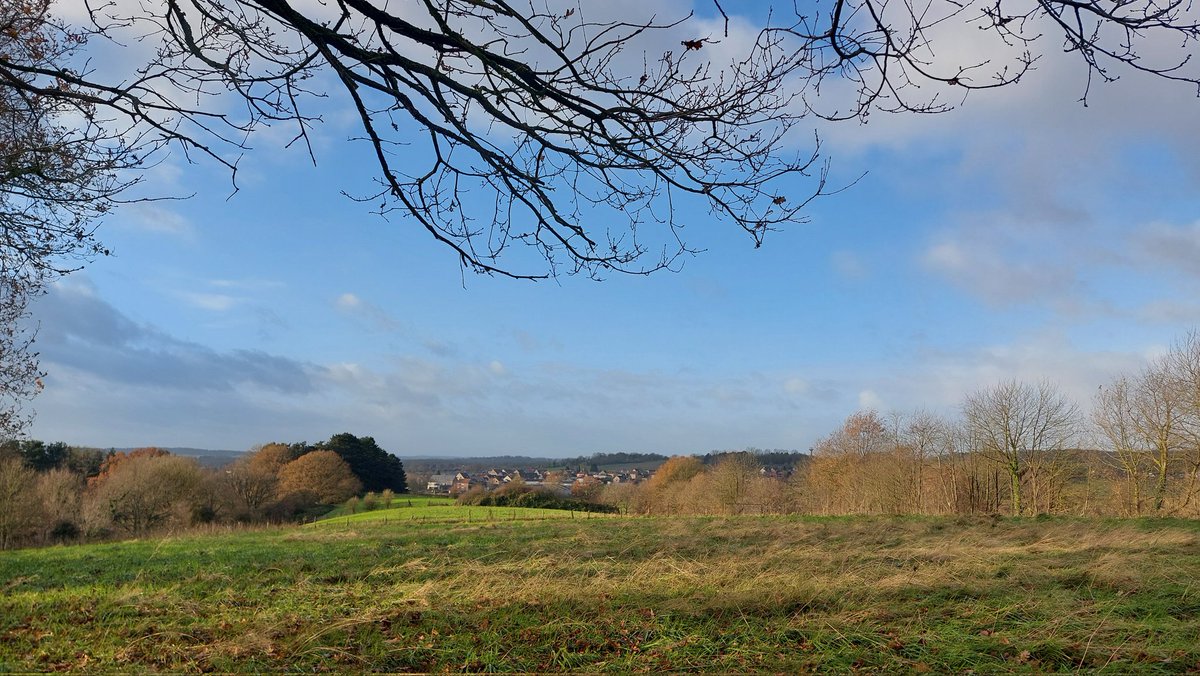PaulDeRoeck2's tweet photo. Mooi Bertem, Koeheide 10u15 #vrtweer #Natuurpunt #Bertem https://t.co/8wfWM3ge7o