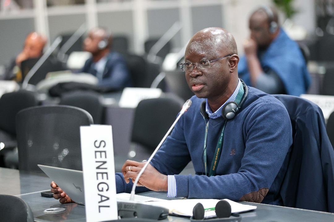 #UNCCDCOP16 ⁦<a href="/UNCCD/">UN Land and Drought</a>⁩  ⁦<a href="/endaenergylinks/">ENDA ENERGIE</a>⁩ <a href="/EmmanuelSobel/">Emmanuel S Seck</a> ‘La profitabilité de la durabilité doit nous inciter à restaurer les terres mais également à investir davantage dans les chaînes de valeur agricoles’