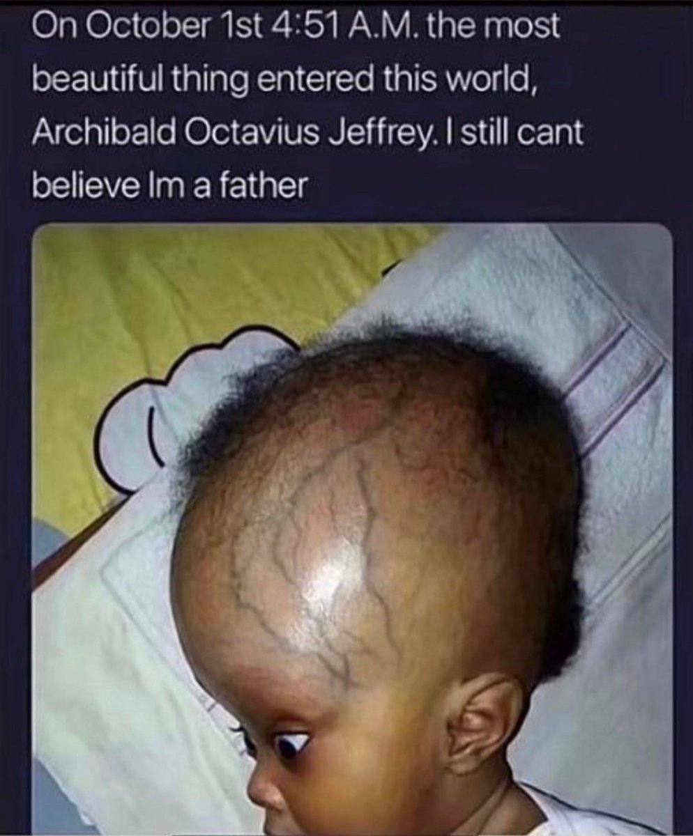 internet hall of fame tweet media