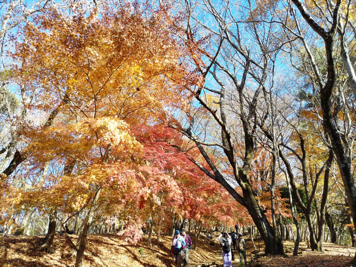 ひろぽんぬ♂ (@Show_Hirose) / Posts / X