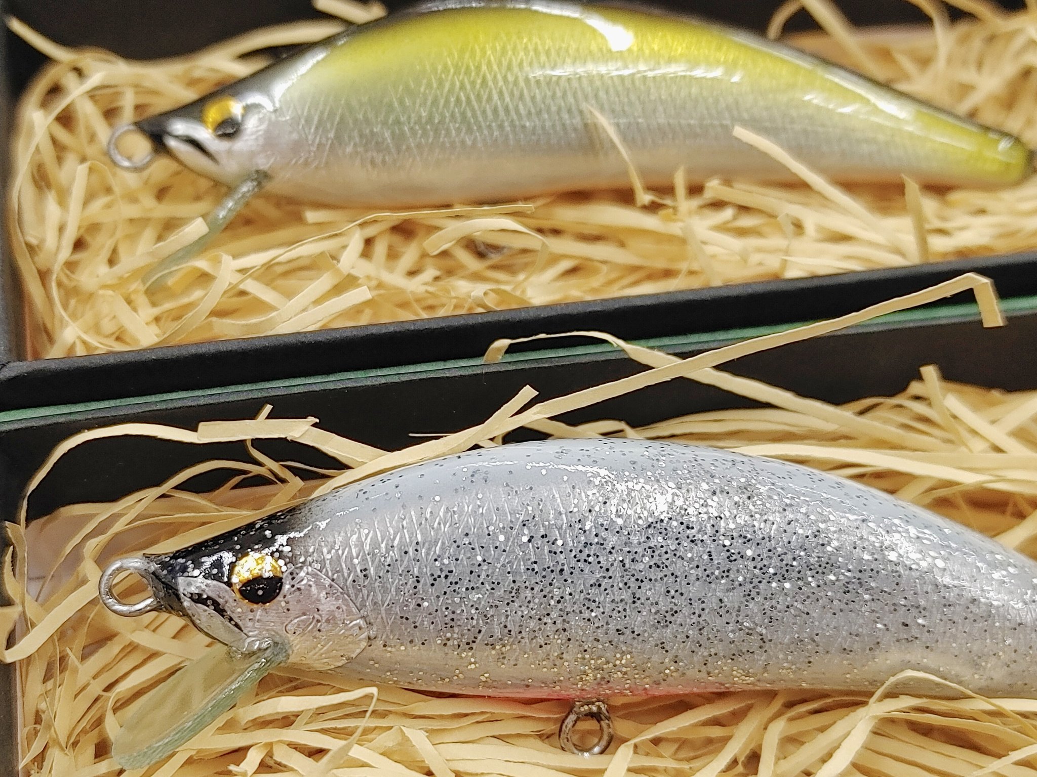 【レア】　モカDRSS グローン、三ヶ日みかん レア】 モカDRSS グローン、三ヶ日みかん ロデオクラフトウッサ