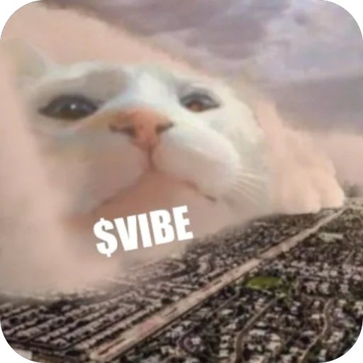 <a href="/elonmusk/">Elon Musk</a> The Purrfect storm.   

It's coming.   

💎🐈

#ElonsFavoriteCat
#BillionsWillVibe