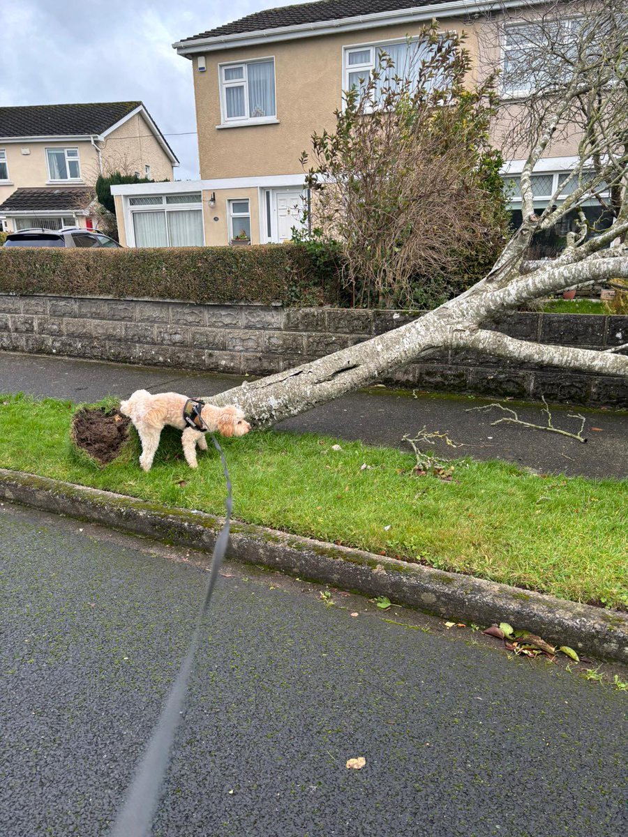 Storm taking the piss 
#StormDarragh