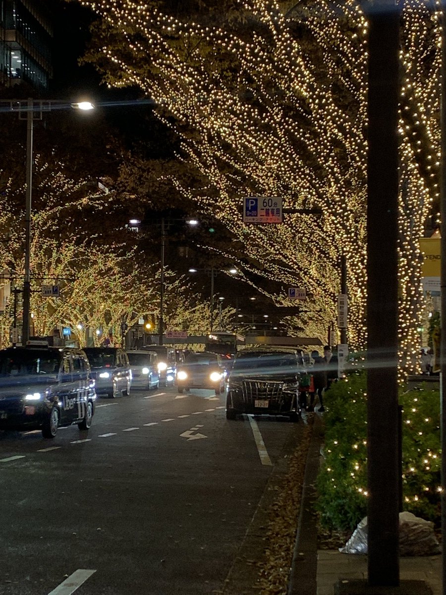 KOSOSTORES's tweet image. 表参道綺麗でした。