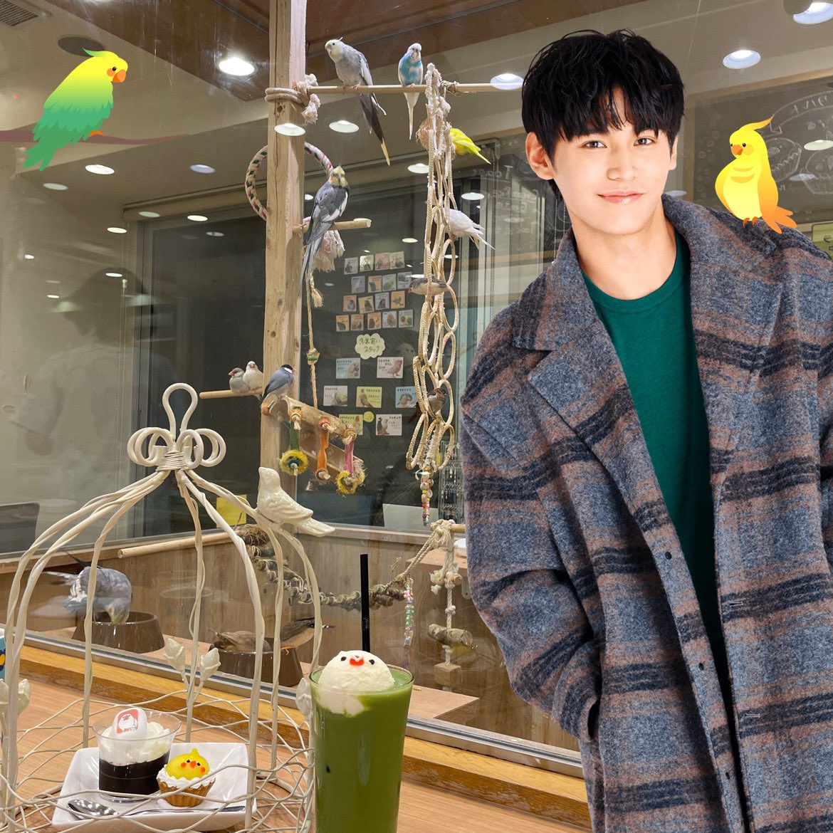 honeyJa19980406's tweet photo. 鳥はかわいいねぇ🦜
#JACamera 📸 https://t.co/937hvnhwcm