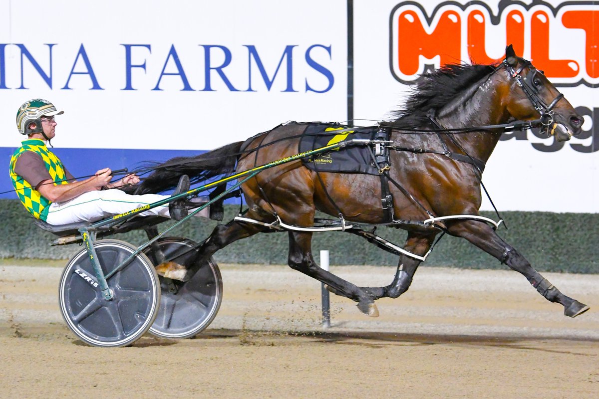 ClubMenangle tweet picture