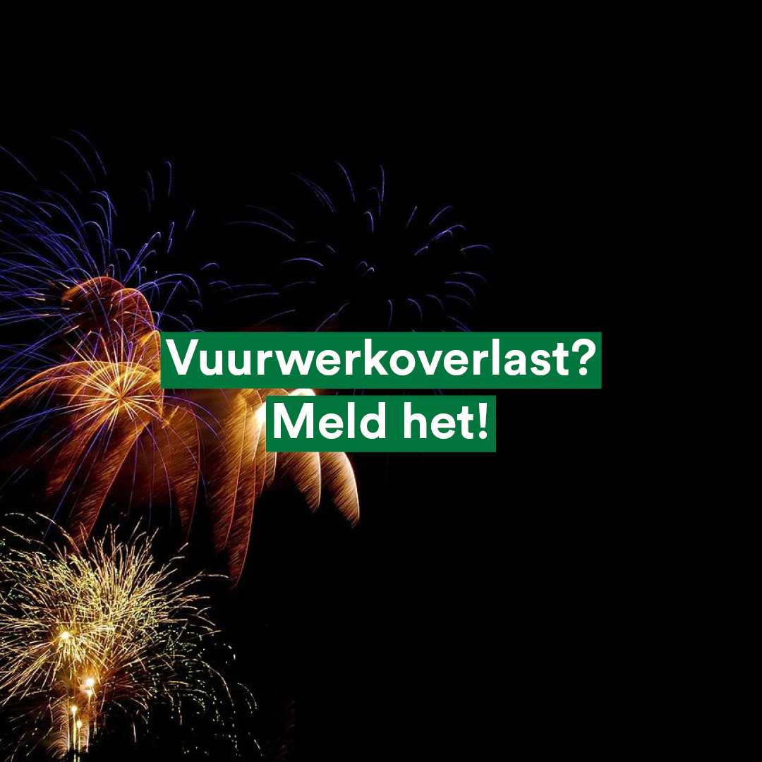 Judith Hofte tweet media