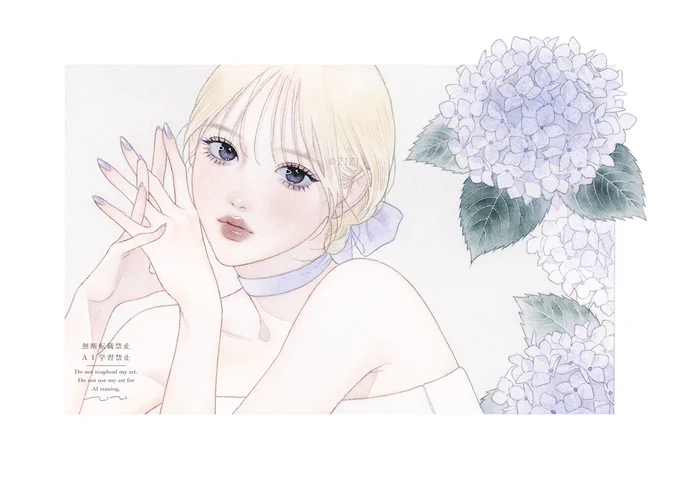 Hydrangea透明水彩 