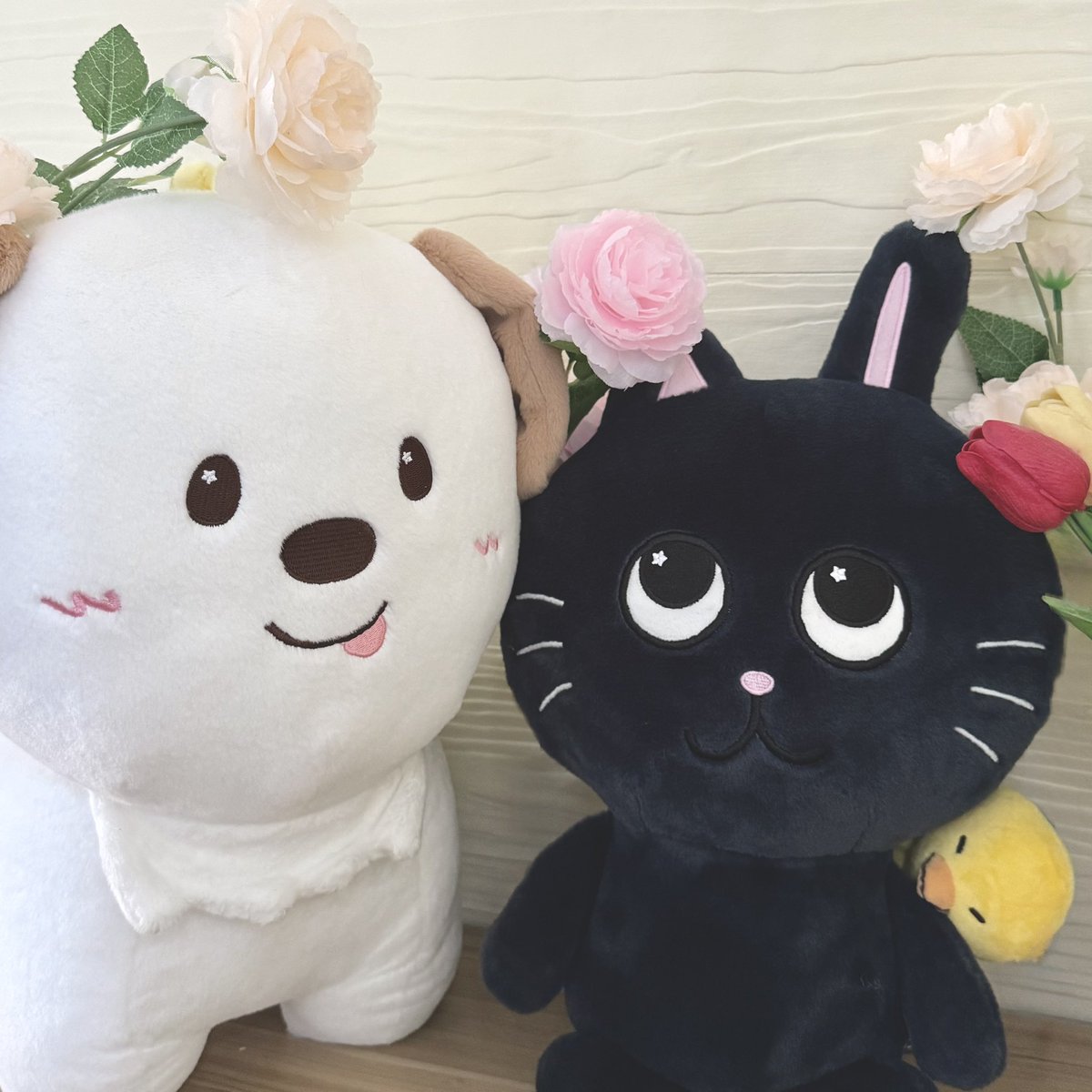 n0ughtygurl's tweet image. i'm growing like a flower 🤍໒꒰ྀི ॱ꒳ॱ ִ❀ ꒱ྀི১