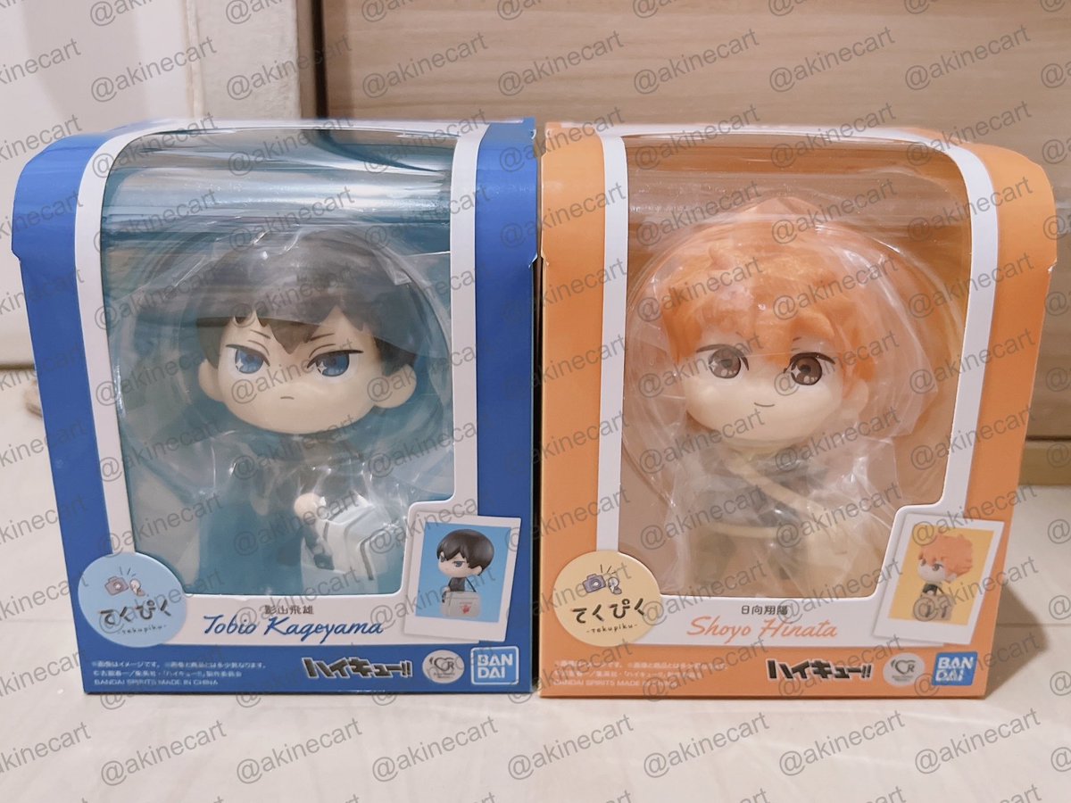 aki ฅ^•ﻌ•^ฅ | paradox live • plave tweet media