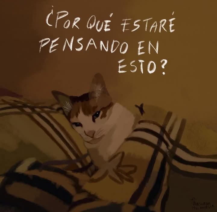 absurdamela's tweet photo. https://t.co/iWqIoVJply