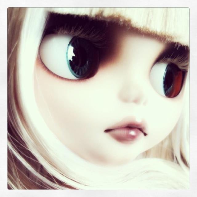 mitsubachi_z's tweet image. 『櫁蜂からのお知らせ』

櫁蜂は今年の7月末に膵臓癌(すいぞうがん)の告知を受けました。肝臓への転移もあり、抗がん剤治療を受けながら日々を過ごしています。
余命は1年とのことです。…