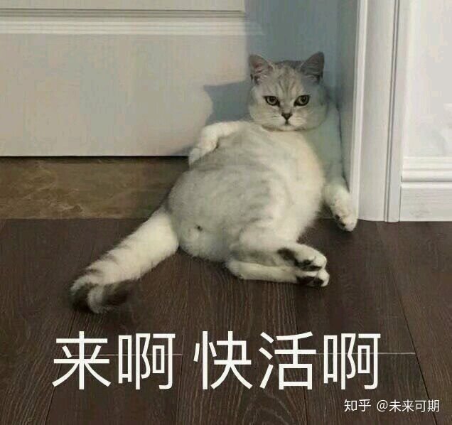 宁波情趣理疗师 tweet media