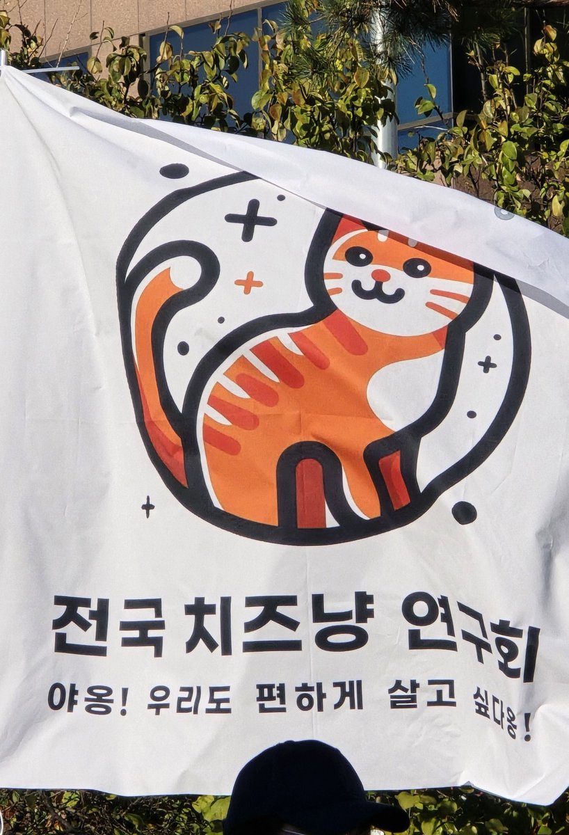 eun1397's tweet photo. 깃발 구경하려면 돌아다녀야하는데 너무 넓어!��단 앉은 자리에서 보이는 가벼운? 깃발 하나 ㅋㅋㅋ 
전국 치즈냥 연구회 https://t.co/ysfBlg0pr1
